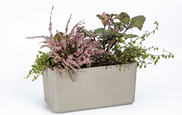 Plastový samozavlažovací truhlík 39,5 cm Berberis – Plastia