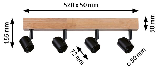 P 66773 Stropní bodové svítidlo Arvid E27 230V max. 4x20W stmívatelné černá - PAULMANN