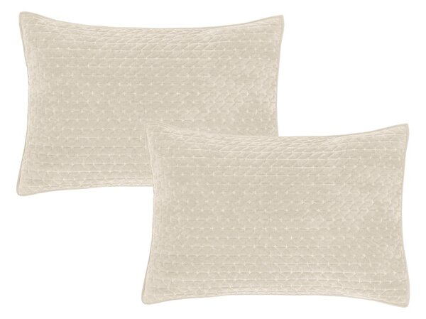 Povlaky na polštáře v sadě 2 ks 50x75 cm Attica Velvet Embroidered – Bianca
