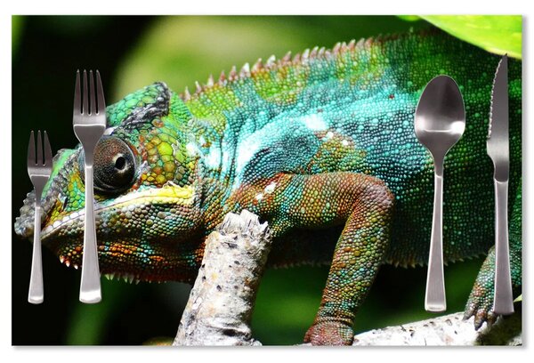 Sablio Prostírání Chameleon: 40x30cm