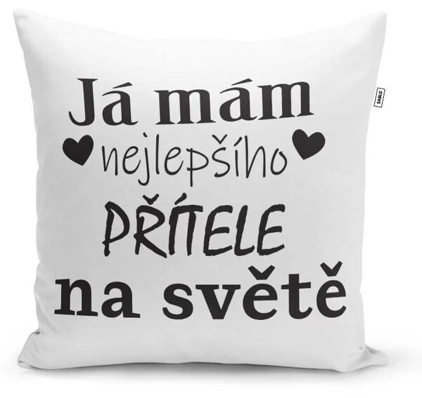 Sablio Polštář Já mám nejlepšího přítele na světě: 40x40 cm