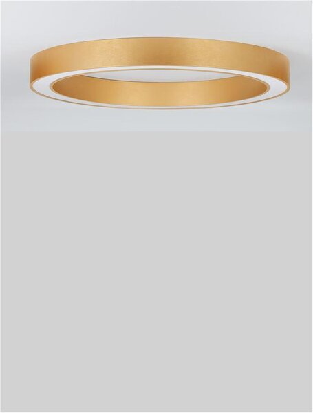 Nova Luce Stropní LED svítidlo MORBIDO, 60W 2700K - 4000K vč. dálkového ovládání stmívatelné Tuya Barva: Zlatá