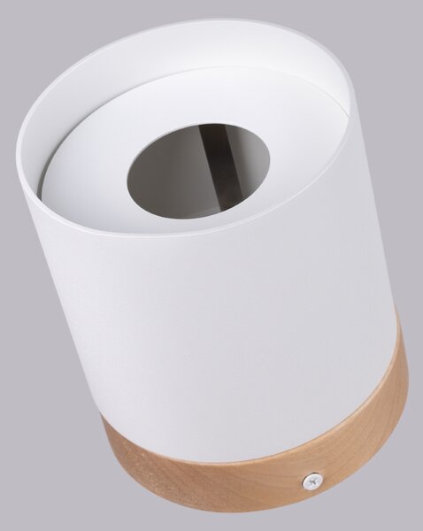 Sollux Lighting Stropní svítidlo RIF bílé