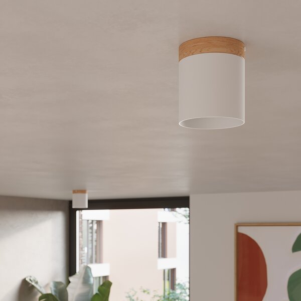 Sollux Lighting Stropní svítidlo RIF bílé