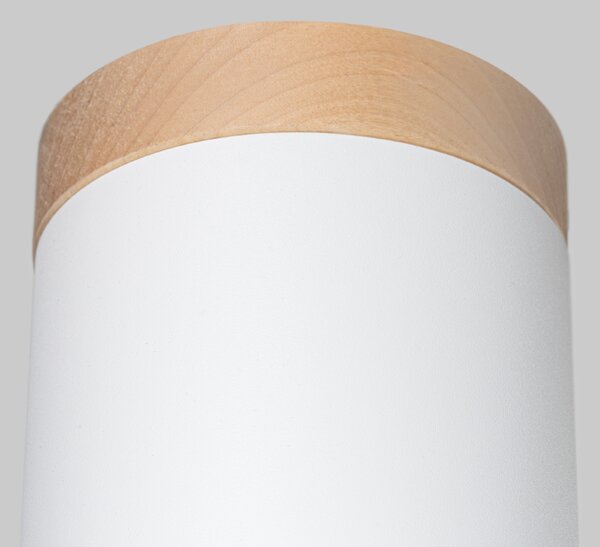 Sollux Lighting Stropní svítidlo RIF bílé