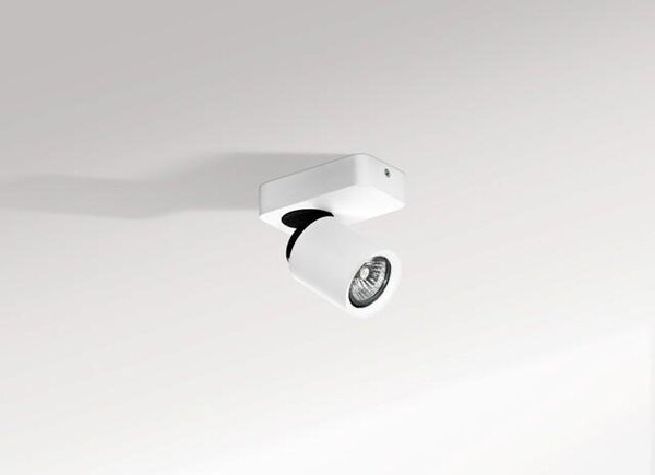 AZZ AZ0662 Tomi 1 (white/grey) - AZZARDO