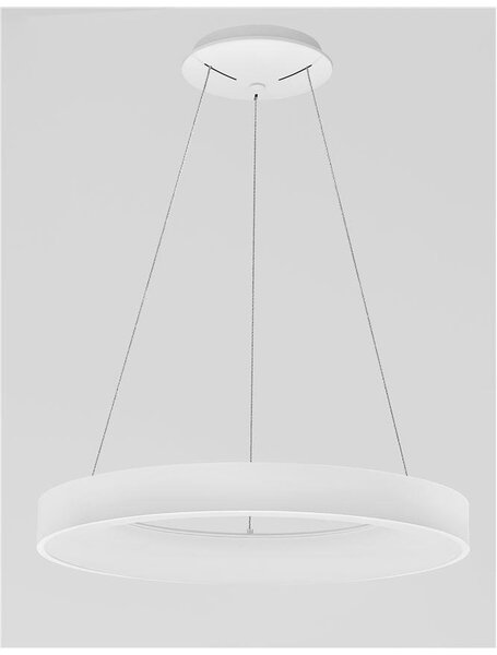 Nova Luce Závěsné LED svítidlo RANDO SMART, 50W 3000K - 4000K Tuya stmívatelné Barva: Bílá