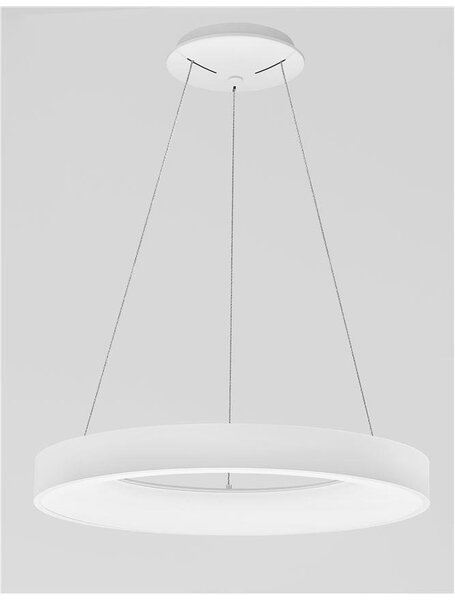 Nova Luce Závěsné LED svítidlo RANDO SMART, 50W 3000K - 4000K Tuya stmívatelné Barva: Bílá