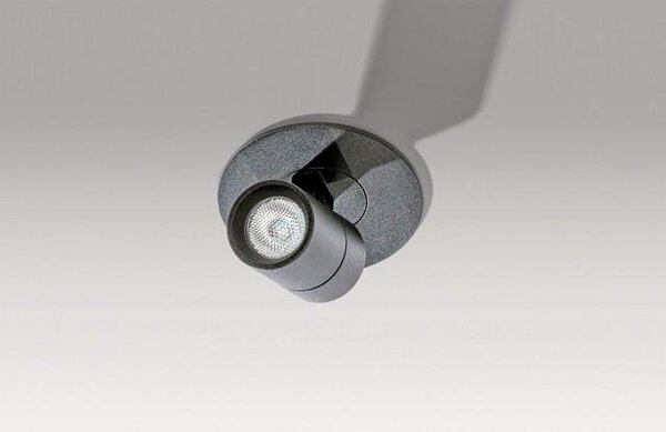 AZZ AZ2708 Lina (black) - AZZARDO