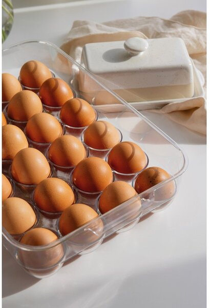Plastový organizér do lednice na vajíčka 33x21 cm – Casa De Engel
