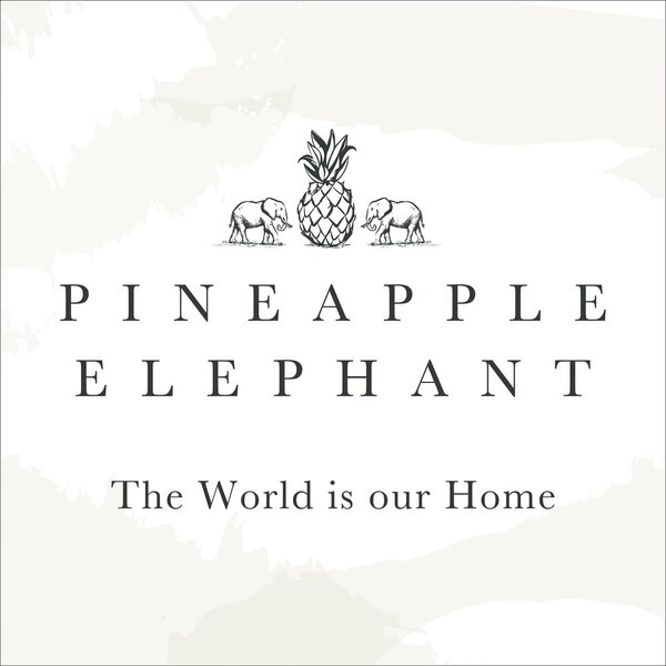 Povlaky na polštáře v sadě 2 ks 50x75 cm Tamba Stripe – Pineapple Elephant