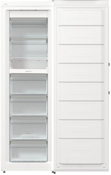 Mraznička Gorenje FN619EAW6 (E)