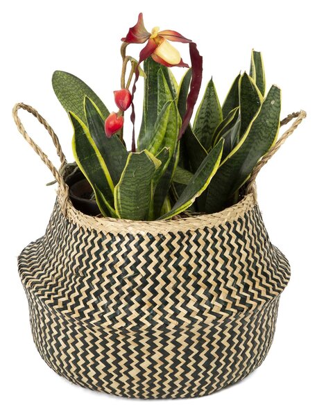 Pletený úložný košík Compactor Belly M ,mořská tráva přírodní s černou, 35 x 32 cm