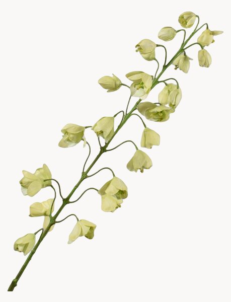 Sada umělých květin Fritillaria, 2 díly
