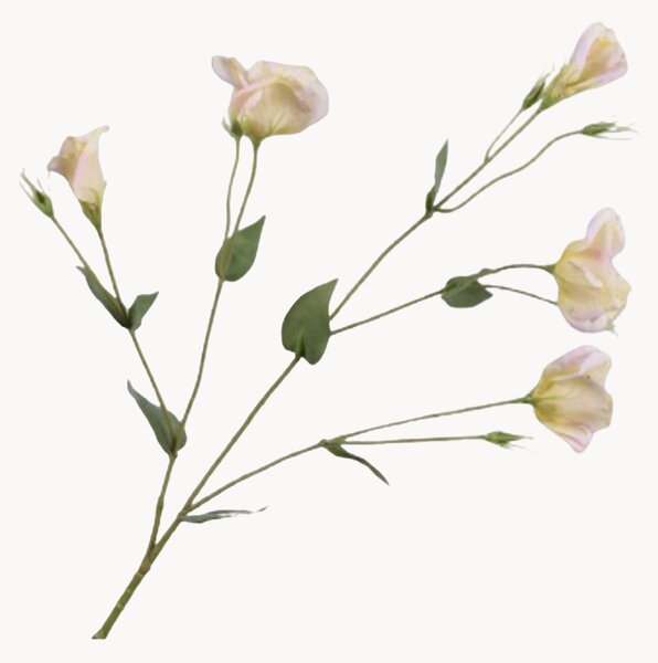 Sada umělých květin Lisianthus, 2 díly