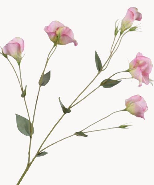 Sada umělých květin Lisianthus, 2 díly