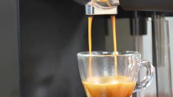 Pákový espresso kávovar s napěňovačem mléka BestBerg BBCF-2032 / 1350 W / 1,2 l / 20 bar / stříbrná/černá