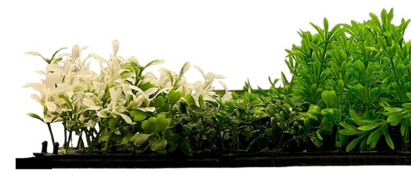 Jangal Modular Wall Design Flora VIOLET MIXED FLORA 11116, 520 x 520mm, 0,2704m²