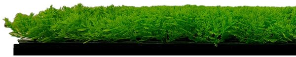 Jangal Modular Wall Design Flora Bright Green Design Grass 11115, 520 x 520mm, 0,2704m²