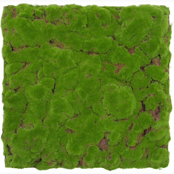 Jangal Modular Wall Design Moss FOREST GREEN BULK 11111, 520 x 520mm, 0,2704m²