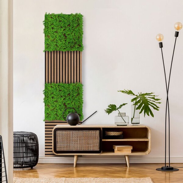 Jangal Modular Wall Nature Design Flora THUJA TEA TREE 11105, 520 x 520mm, 0,2704m²