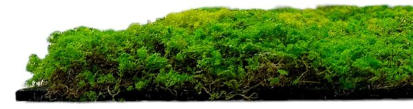 Jangal Modular Wall Design Moss LIGHT GREEN FIBRE 11110, 520 x 520mm, 0,2704m²