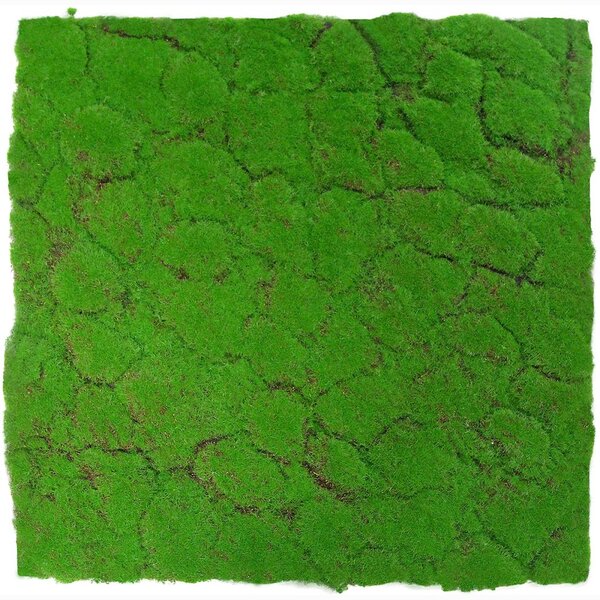 Jangal Modular Wall Design Moss FOREST GREEN 11108, 520 x 520mm, 0,2704m²