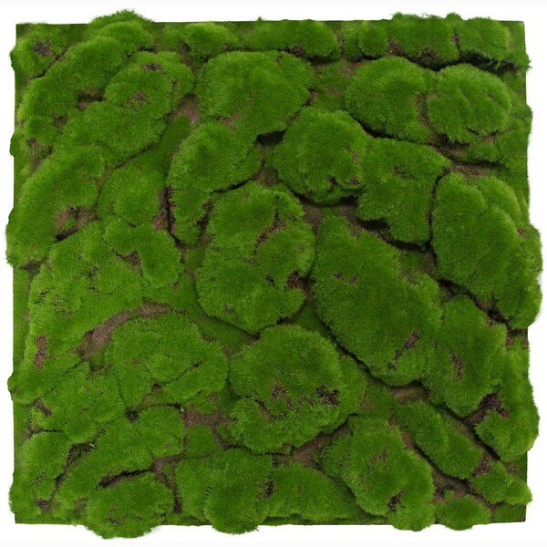 Jangal Modular Wall Design Moss FOREST GREEN BIG BULK 11109, 520 x 520mm, 0,2704m²