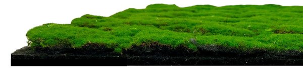 Jangal Modular Wall Design Moss FOREST GREEN 11108, 520 x 520mm, 0,2704m²