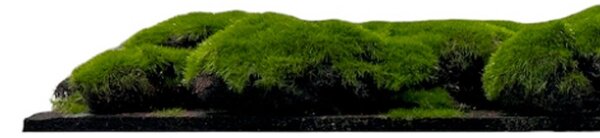 Jangal Modular Wall Design Moss FOREST GREEN BIG BULK 11109, 520 x 520mm, 0,2704m²