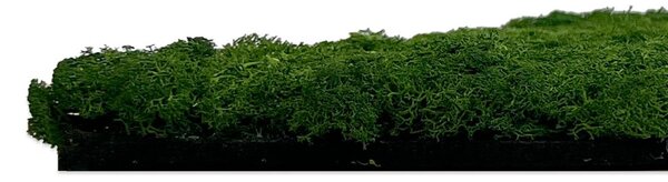 Jangal Modular Wall Nature Moss DARK GREEN 11103, 520 x 520mm, 0,2704m²