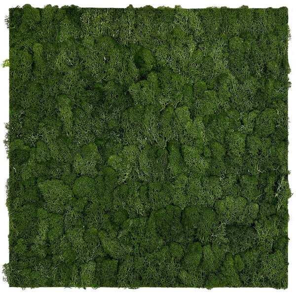 Jangal Modular Wall Nature Moss DARK GREEN 11103, 520 x 520mm, 0,2704m²