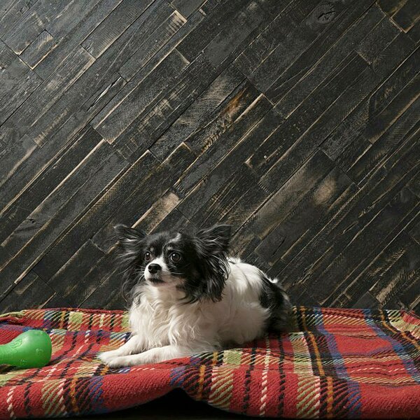Mywoodwall Arcadian DEEP SPACE MWWA006, 0,98m²