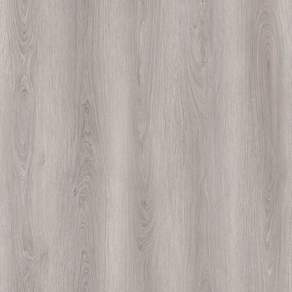 Vinylová podlaha lepená Republic Floor Dryback Grizzly BLUSH DG006