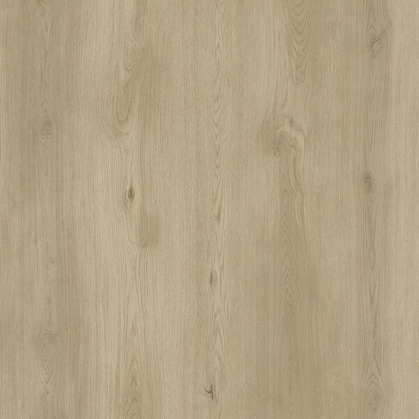 Vinylová podlaha lepená Republic Floor Dryback Grizzly BABO DG005