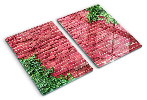 Skleněná krájecí deska Cihlová zeď s vegetací ddk-nr-wm-00007910