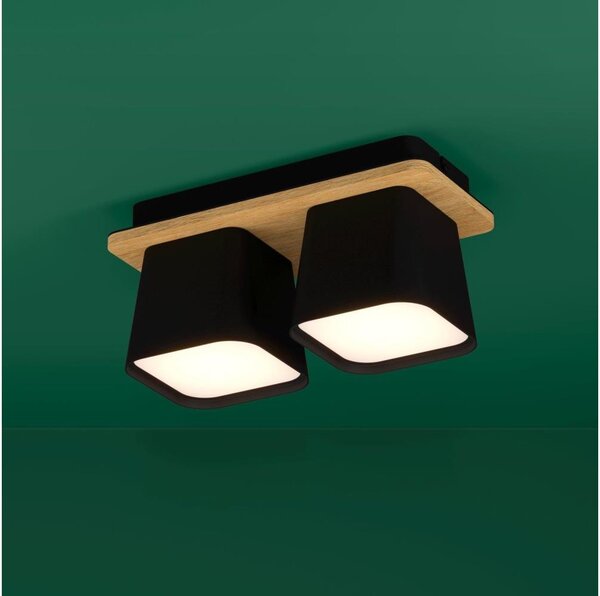 Eglo 390007 - Stropní svítidlo RUSCIO 2xE27/40W/230V černá/hnědá