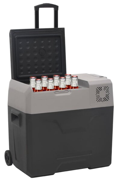 Chladicí box s kolečky a rukojetí černý a šedý 40 l PP