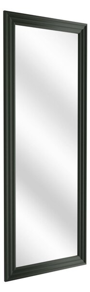 Nástěnné zrcadlo 50x142 cm Wave – Styler