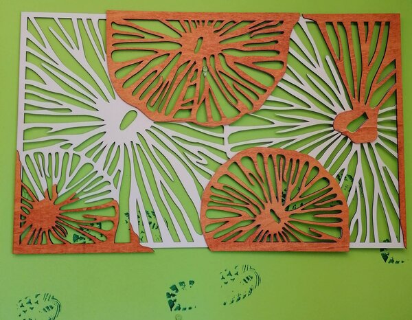 Vyřezávaný obraz na stěnu z dřevěné překližky orange 3D efekt KODJAK: 46 x 80 cm 3915-44973 PR0299 5 casti
