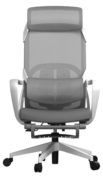 Ergonomická kancelářská židle Liftor Orca, šedá