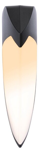 P 94516 LED venkovní nástěnné svítidlo Smart Home Zigbee Ikosea neláká hmyz IP44 50x203mm CCT 4,4W 230V antracit umělá hmota - PAULMANN