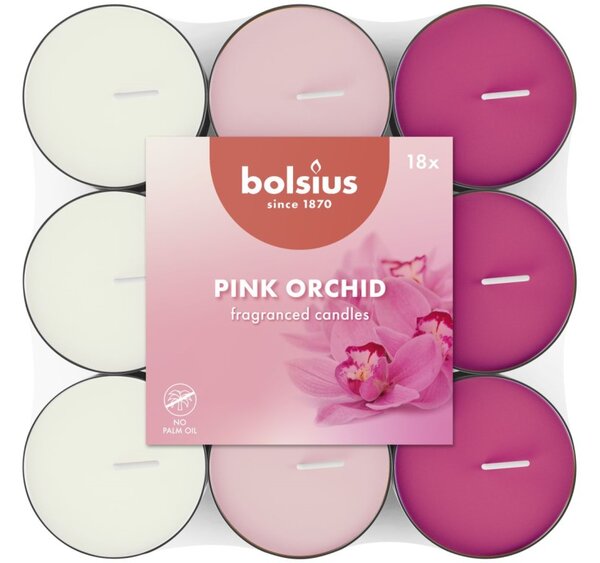 Bolsius Čajové Pink orchid basic, v tříbarevném mixu, vonné svíčky 18ks