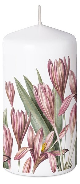 Válec Krokusy, svíčka 60x110 mm