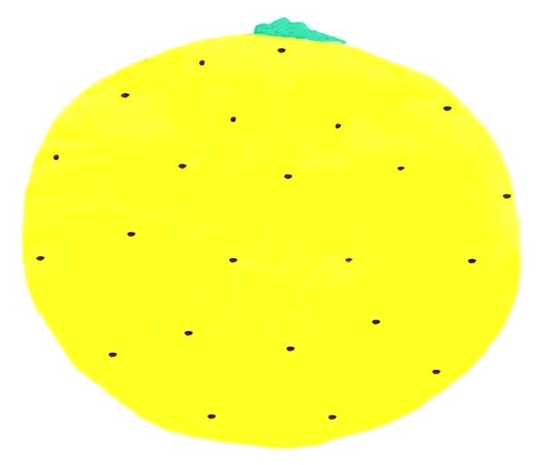 Jahu s.r.o. Polštářek-4D Ananas