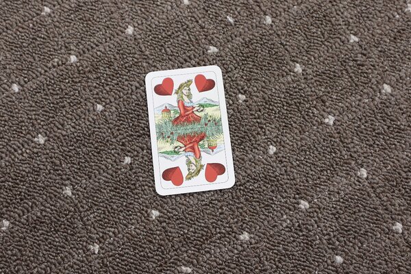 Condor Carpets, Kusový koberec Udinese hnědý, 57x120, hnědá, chodba / předsíň