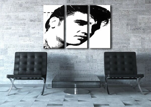 Ručně malovaný obraz POP Art ELVIS 3 dílný