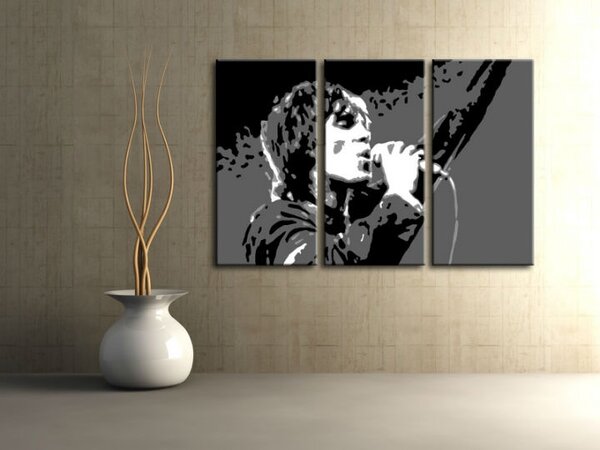 Ručně malovaný obraz POP Art Ian Brown, 3 díly ib2