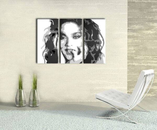 Ručně malovaný obraz POP Art MADONNA 3 díly ma3