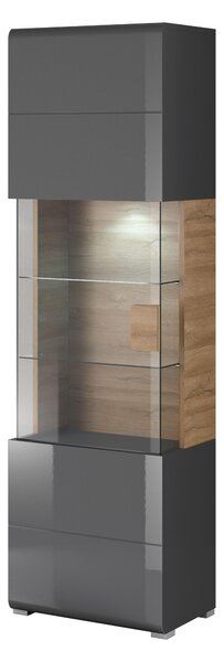 Vitrína Tamie Typ 05 (tmavě šedá + dub) (L). Akce -15%